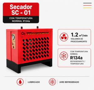 sc 01