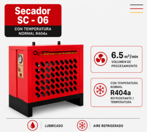 sc 06